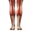 upload/articles/thumbs/140712034117Myofascial pain syndrome lower leg.jpg